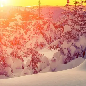 No Cap Fashion shp No Cap Fashion shp