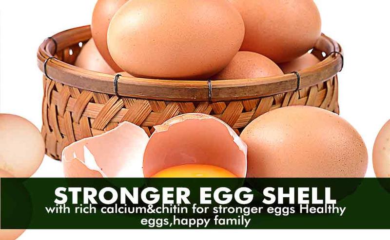 11LBS Non-GMO-Dried Worms for Chickens All Natural Dried Black Soldier Fly Larva Treats, Dried Meal Worms for Chickens, Hens, Birds... Dry Food