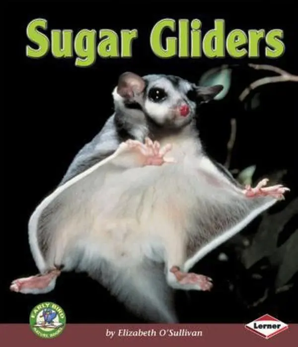 USED-Sugar Gliders by O'Sullivan, Elizabeth (Library Binding)