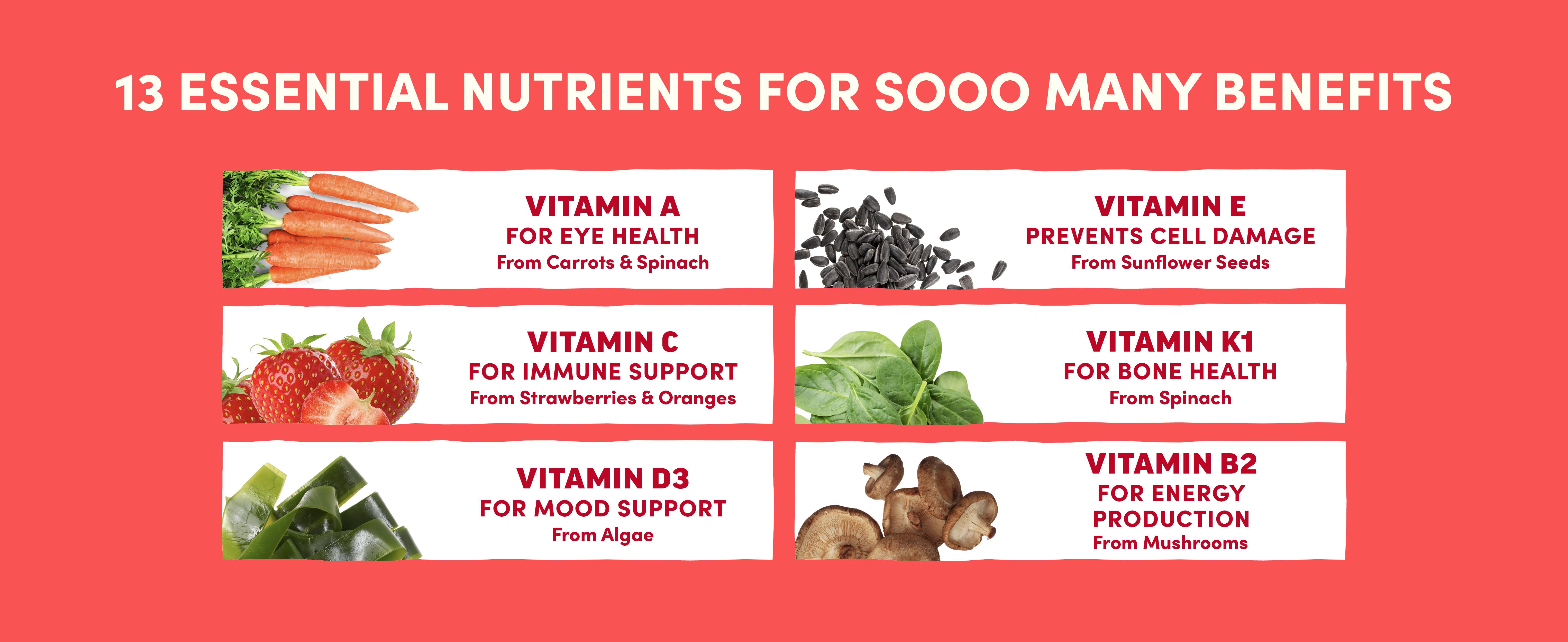 Llama Naturals Multivitamin for Women & Men, Vegan, Organic Gummies with Vitamin D, C & K, Adults Real Fruit Gummy Vitamins, Chewable Multivitamin Supplement, No Added Sugar Cane, Strawberry, 120 Ct