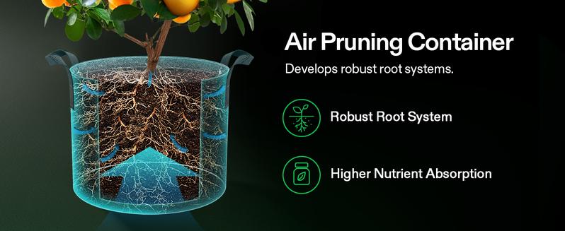 VIVOSUN 5-Pack Grow Bags, 500G Thick Nonwoven Fabric Pots with Strap Handles, Multi-Purpose Rings, for Low Stress Plant Training Fruits, Vegetables, and Flowers