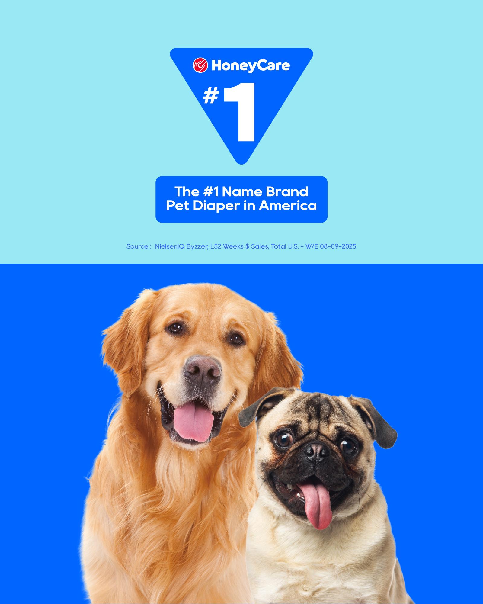 [C] HoneyCare Disposable Female Male Dog Diapers Wraps with 360 Degree Leak-Proof Protection Breathable Outer Layer Pee Guard for Training Supplies Super Absorbent No Odors No Leaks