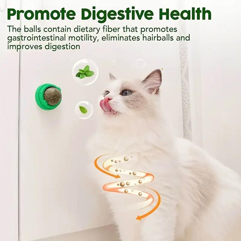 Catnip Toys Balls 4 Pcs, Extra Cat Energy Ball, Edible Kitten Silvervine Toys, Healthy Kitty Teeth Cleaning Dental Chew Toys, Cat Wall Treats Cat Stuf Catnip Toys Balls 4 Pcs, Extra Cat Energy Ball, Edible Kitten Silvervine Toys, Healthy Kitty Teeth Cleaning Dental Chew Toys, Cat Wall Treats Cat Stuf