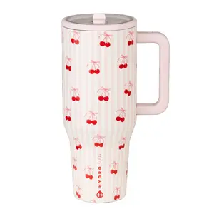 HydroJug Traveler Insulated Stainless Steel Tumbler 32oz / 40oz with Handle & Straw Lid