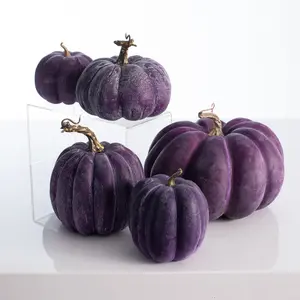 Purple Weathered Thanksgiving Harvest Halloween Colorful Pumpkin Set