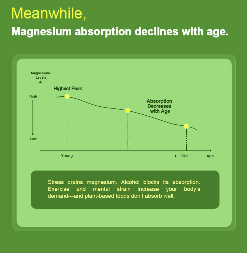 DEAL SUPPLEMENT Magnesium Glycinate 500mg|Support Sleep, Muscles, Nerves,Energy Dietary Healthcare | Vegan, Non-GMO | 240 Capsules Nutrition Nature DEAL SUPPLEMENT Magnesium Glycinate 500mg|Support Sleep, Muscles, Nerves,Energy Dietary Healthcare | Vegan, Non-GMO | 240 Capsules Nutrition Nature