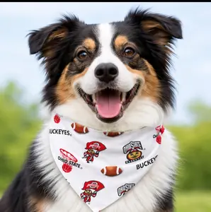 Ohio State University Dog Bandana With Elastic Collar