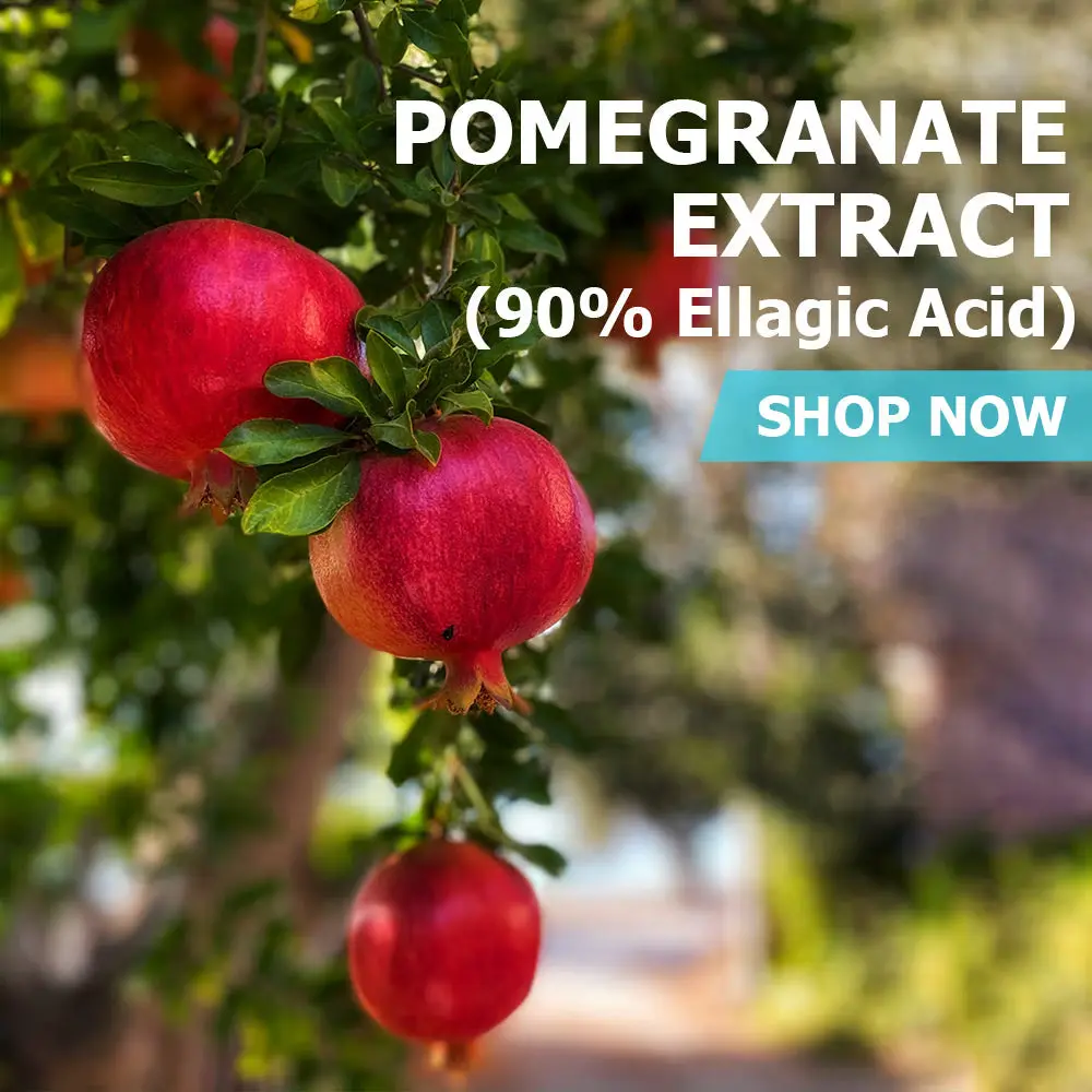 Pomegranate Extract (90% Ellagic Acid) Healthcare Vitamin Dietary Supplements Fitness