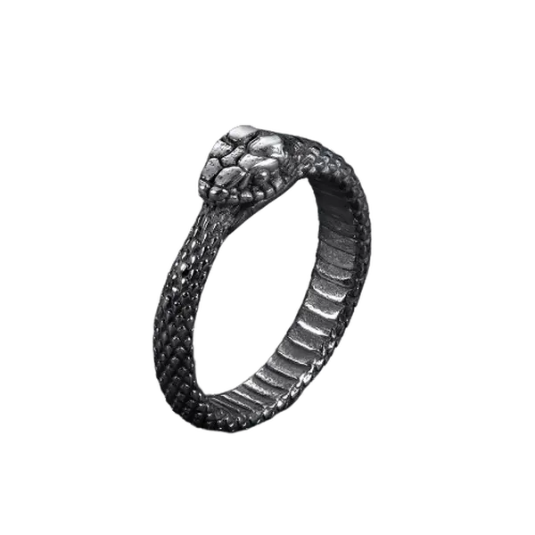 GTHIC Stainless Steel Ouroboros Snake Ring, Retro Punk Animal Ring, Men's Accessories, Accessories for Women, Unique Gifts for Man (Mother's Day Gift Option), Rings