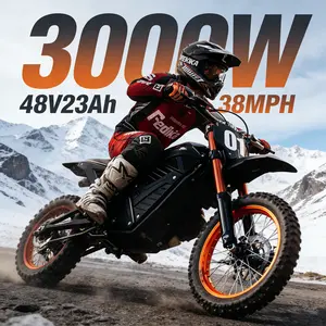 ABKDO Electric Bicycle, 3000W Power, 38 mph Speed, 23Ah Lithium Battery, Front 14 inches Rear 12 inches, Off-Road Tires