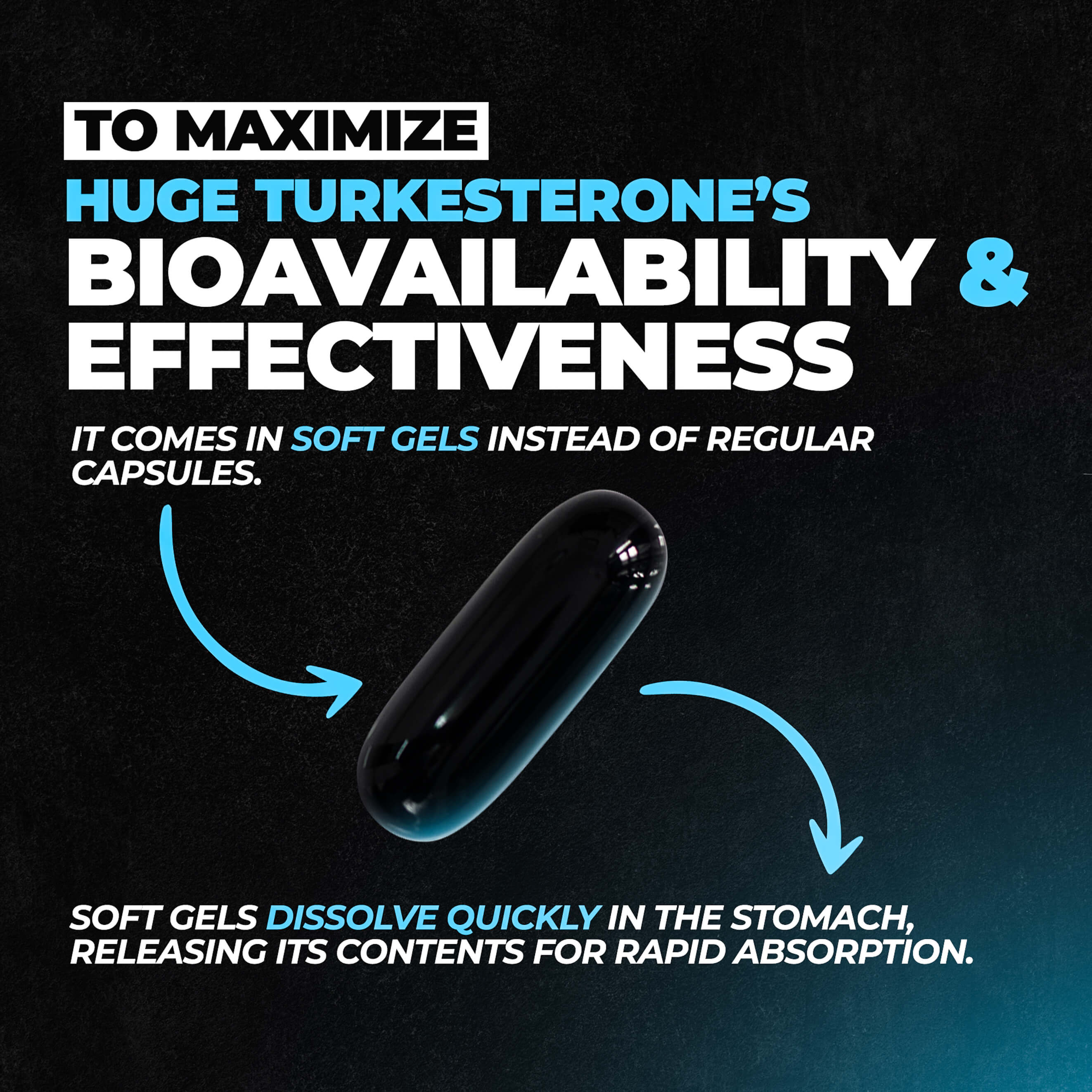 Huge Supplements Turkesterone Supplement (500mg) Ajuga Turkestanica Extract (60 Softgels)