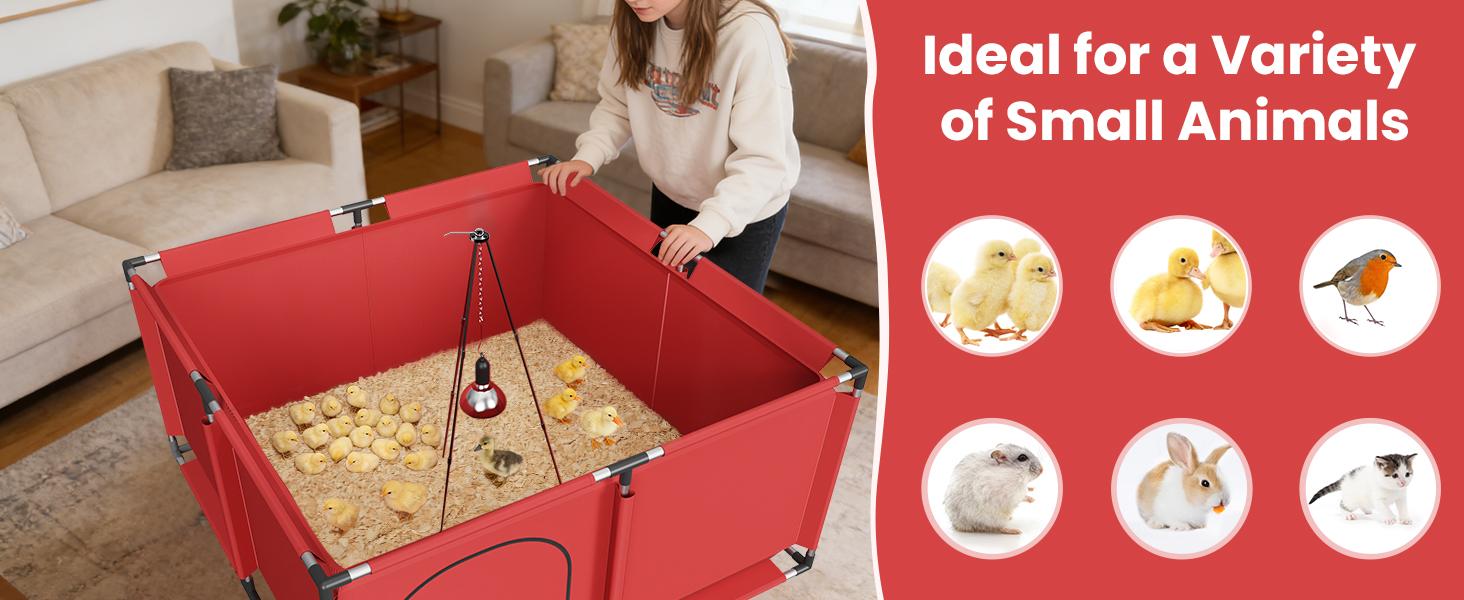 Brooder Box for Chicks, All-in-One Chick Starter Kit, Stainless Steel Frame Baby Chicken Brooder Pen with 250W Heat Lamp, Perch, Chicken Feeder & Waterer Set, Up to 30 Chicks, Square Style Brooder Box for Chicks, All-in-One Chick Starter Kit, Stainless Steel Frame Baby Chicken Brooder Pen with 250W Heat Lamp, Perch, Chicken Feeder & Waterer Set, Up to 30 Chicks, Square Style