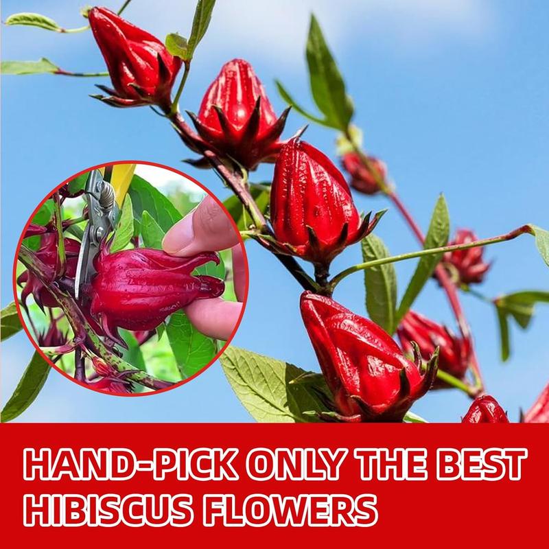 120 Hibiscus Tea Bags | 100% Pure Hibiscus Flower | Sugar-Free, Caffeine-Free Herbal Tea | Double Chamber, Individually Wrapped Bags| Rich in Natural Goodness and Flavor