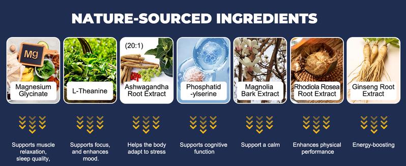 Totaria Cortisol Supplement with Ashwagandha,Magnesium,Rhodiola Rosea,L Theanine,Hormone Balance for Women Mood, Focus, Sleep Support 120 Vegan Capsules