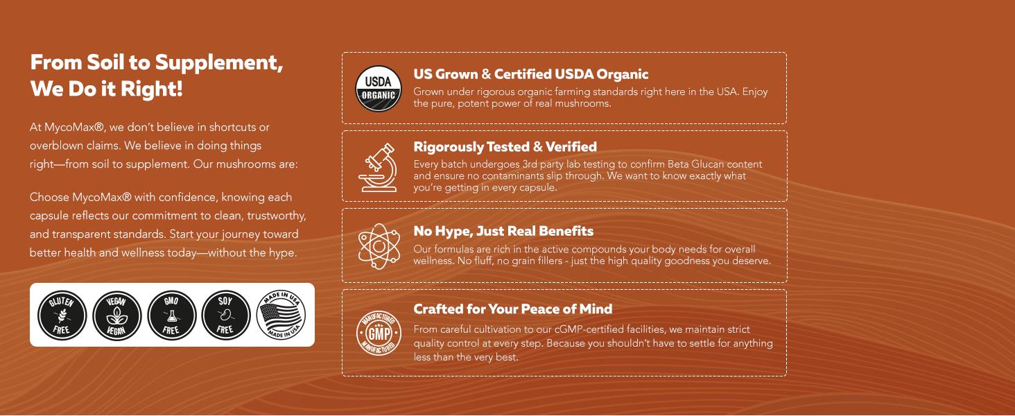 Organic Reishi Mushroom Capsules | 70% Beta Glucans – US Grown & Ultrasonically Extracted – Supports Overall Wellbeing – 60 Capsules Healthcare Dietary