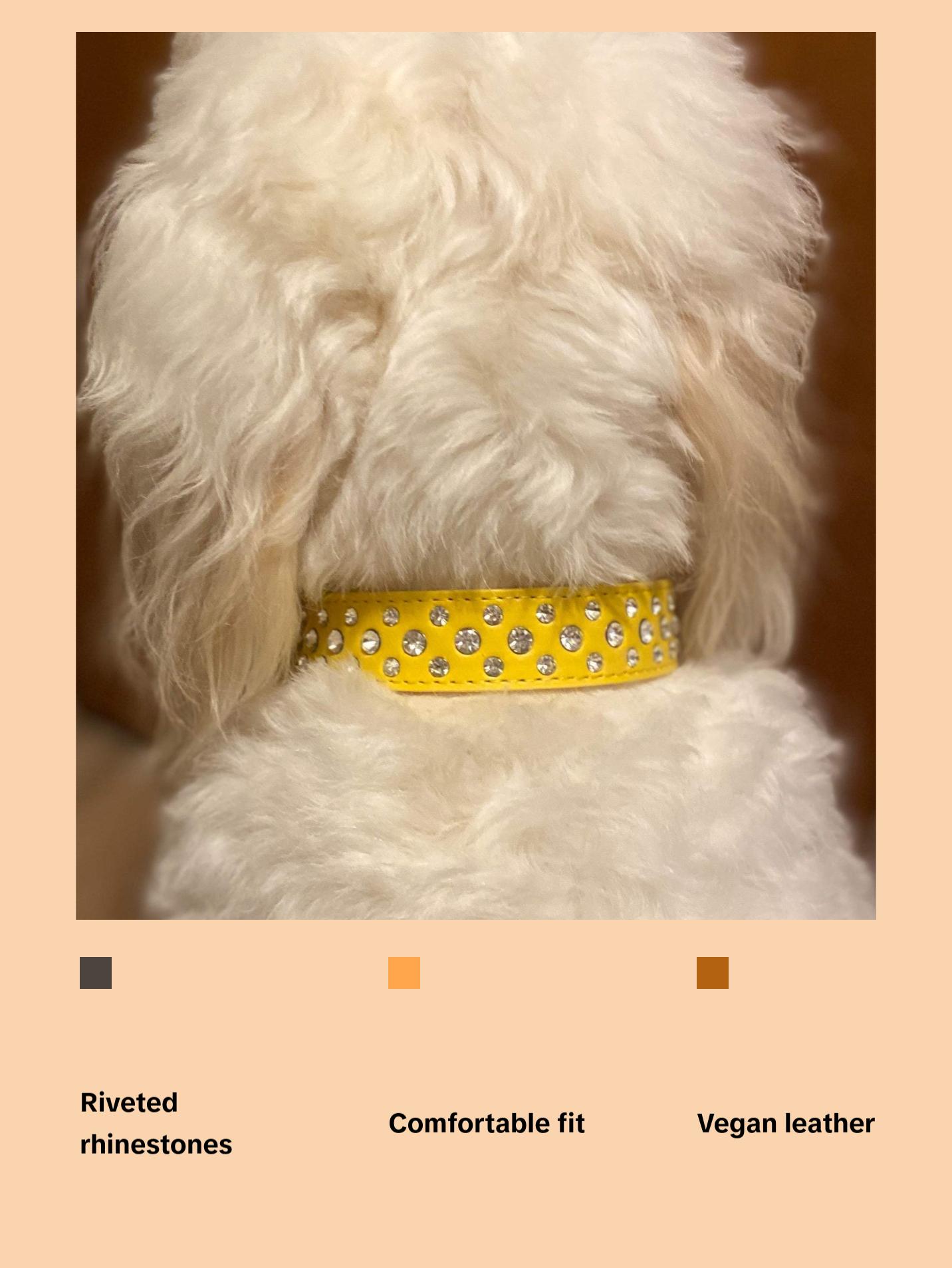 Yellow Bling Dog Collar
