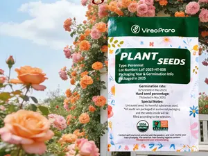 Rose Seeds for Home Garden Planting | Easy to Grow Flower Seeds | Beginner Friendly Garden Plant