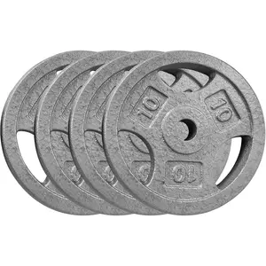 Cast Iron Weight Plates Set 1 in, 2.5 LBS/5 LBS/10 LBS/25 LBS Bumper Plates for Home Gym, Strength Training & Weightlifting (4 x 10 LBS Sets)