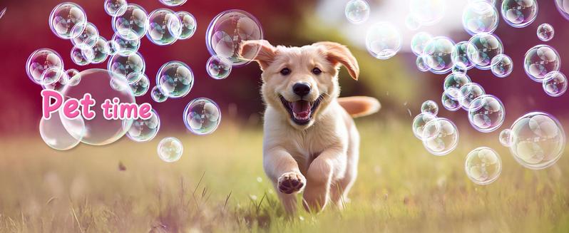 Bubble Machine Wands with Colorful Lights, Princess  Bubble Wands with 4 AA Batteries & 2 Solutions, Girl Stuff Outdoor Party Toys for Toddlers, Birthday Gift for 3 4 5 6 7 8 Year Old Girls