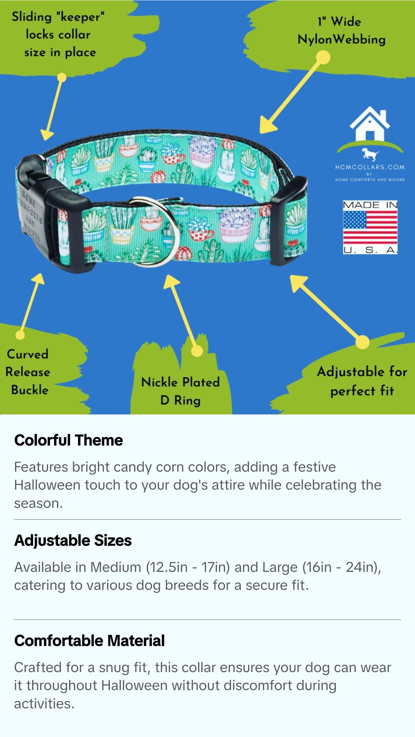 Halloween Candy Corn Dog Collar