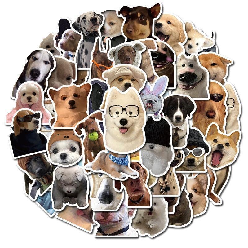 Random 5 PCS Cute And Funny Meme Stickers for Customers Who Place ...