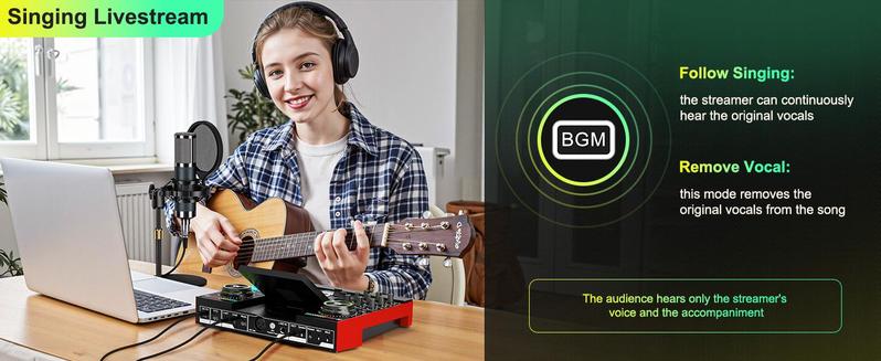 Tenlamp G10-P15 Sound Card with Cantilever Stand, Custom Sound Effects, Condenser Microphone, for Live Streaming, Gaming, Singing and Podcasting, 2-Stage Noise Cancellation, and Computer Audio Mixing