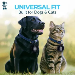 Smart Tag One Pet ID Tag by Sky Peak – Smart Dog Tag with QR Code + NFC Digital ID | Instant Lost Pet Alerts | No Batteries, No App | Waterproof Dog & Cat Tag