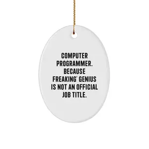 Funny Computer Programmer Oval Ornament Gifts for Men from Friends, Christmas Unique Decorations