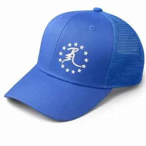 R3 blue with white logo Snapbacks