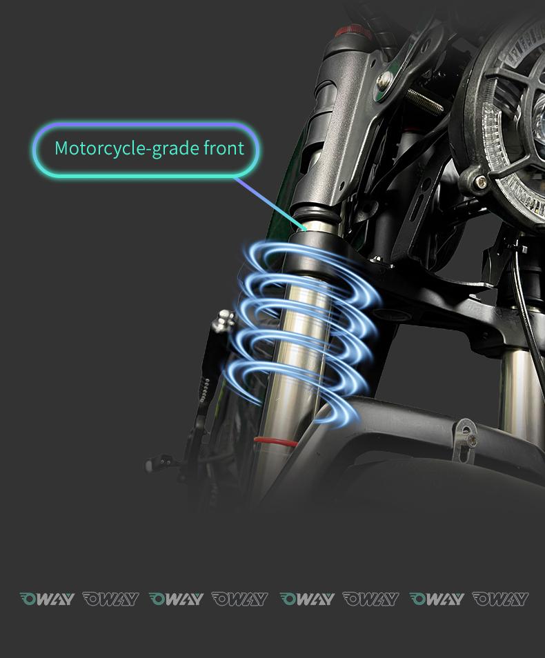 OWAY Black Warrior electric bicycle sk-1 ultra 3000W 60v 50ah High Speed Long Range 62mile high fatebike