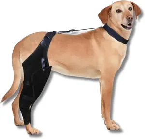 Dog Knee Brace for ACL Injury, Arthritis & Knee Cap Dislocation – Adjustable Full Wrap Support Brace for Dogs, Pain Relief & Joint Stabilizer (Black, Medium)