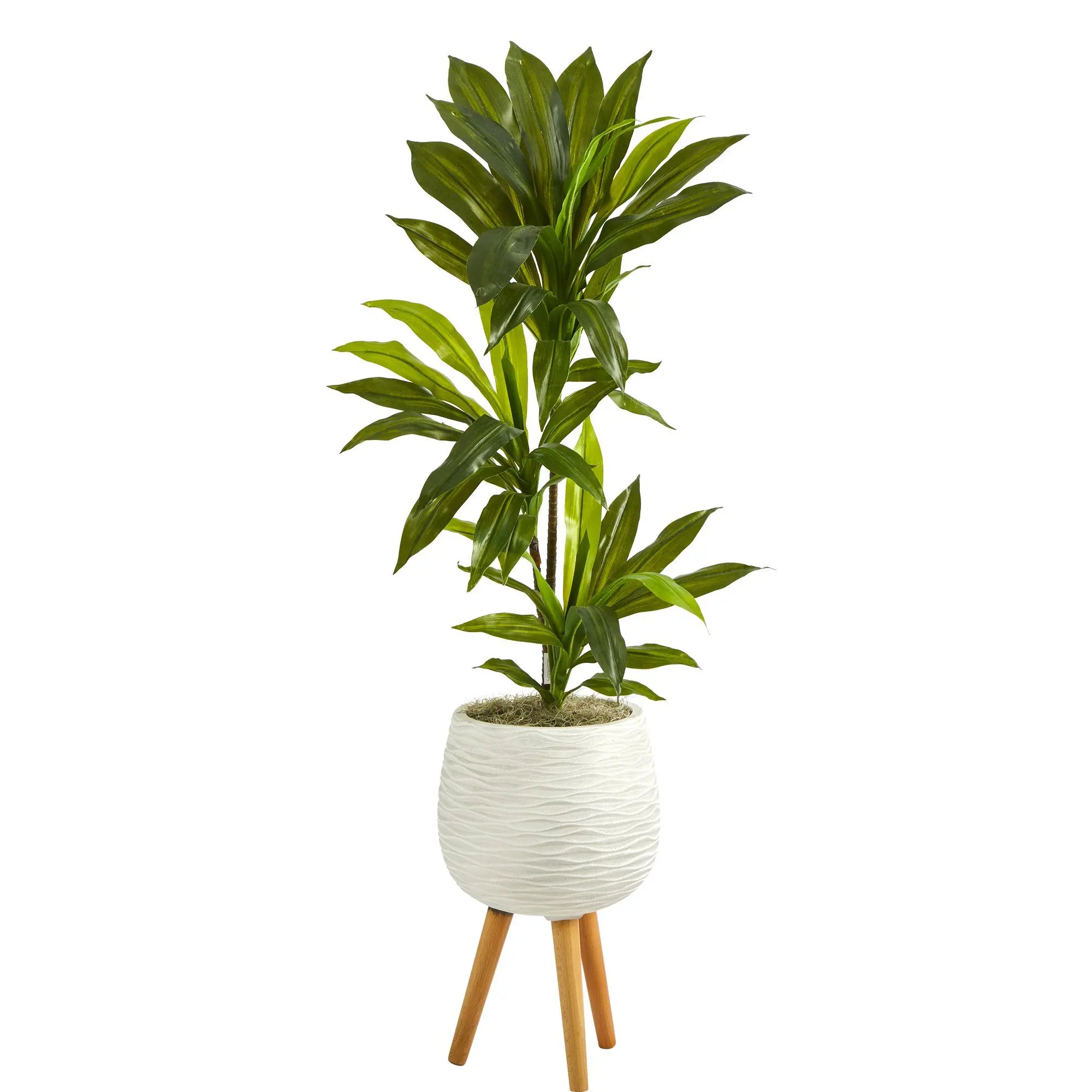 46in Tropical Real Touch Fake Dracaena Plant - Decorative Fake Plants with White Stabilized Natural Moss Planter and Stand, Home Decor Piece