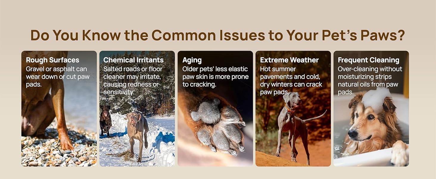 【SpringGlowUp】 Paw Balm Butter For Dogs&Cats , pet's paw pads natural ingredients dog paw balm puppy essentials cat accessories Easy Cleaning, Non-Sticky Moisturizing and non-irritating, pet skin becomes smoother#petlife Box【SpringGlowUp】