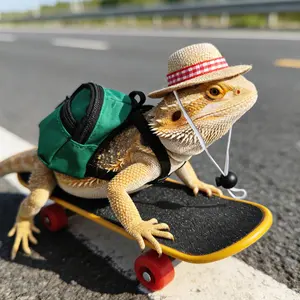 Bearded Dragon Clothes Lizard Toy - Mini hat,Skateboard,Backpack Gifts for Reptiles Pet - Cute Bearded Dragon Costume Accessories for Lizard Iguana Reptiles Small Animals