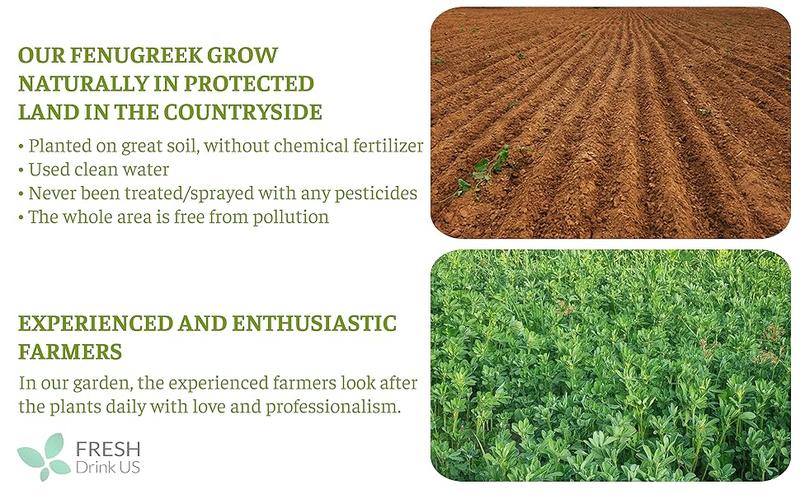 FreshDrinkUS, Premium 55 Fenugreek Tea Bags, 100% Natural & Pure from Fenugreek. Fenugreek Herbal Tea. Made with Natural Material Tea Bags. No Sugar, No Caffeine, No Gluten, Vegan.