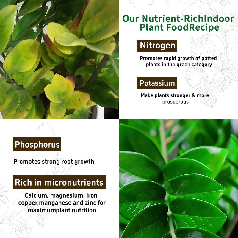 Plant Stain & Spot Removal Liquid – Revive Plants, Remove Spots & Promote Vibrant Growth