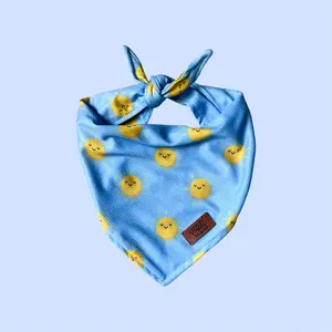 Dog Cooling Bandana | Evaporative Mesh