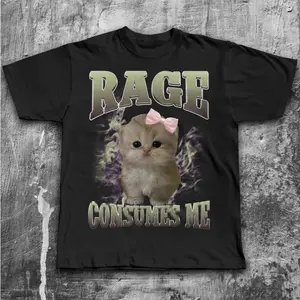 Rage Consumes Me Funny Cat Meme Tee Shirt and Sweatshirt, Silly Cats T-shirt, Stupid Gifts, Brainrot Shirts and Sweatshirt, Ugly Tees and Sweatshirt, Unhinged Clothes, Gift for Her, Hoodie and Sweatshirt for autumn and winter