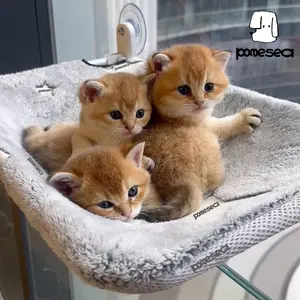 【Cat Window Perch】for Large Cats,Glow in The Dark,Hammock with Hook Design Double-Sided Fabric Cover, Foldable Window Seat,Sunbathing