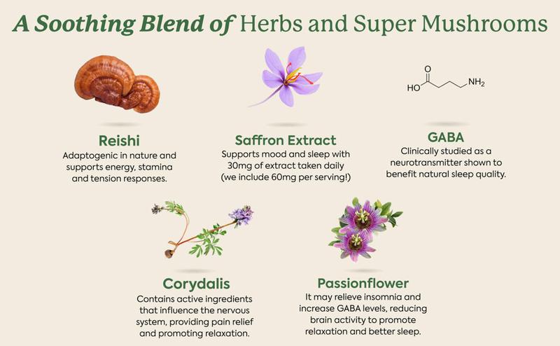 WonderSleep Mushroom Gummies 5-Day Travel Size by Plant People - Sugar Free, Melatonin Free, All Natural Sleep Gummy Supplement Healthcare Dietary