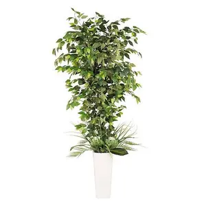 Puleo International 6 ft. Artificial Ficus Microcarpa Tree with White Decorative Pot