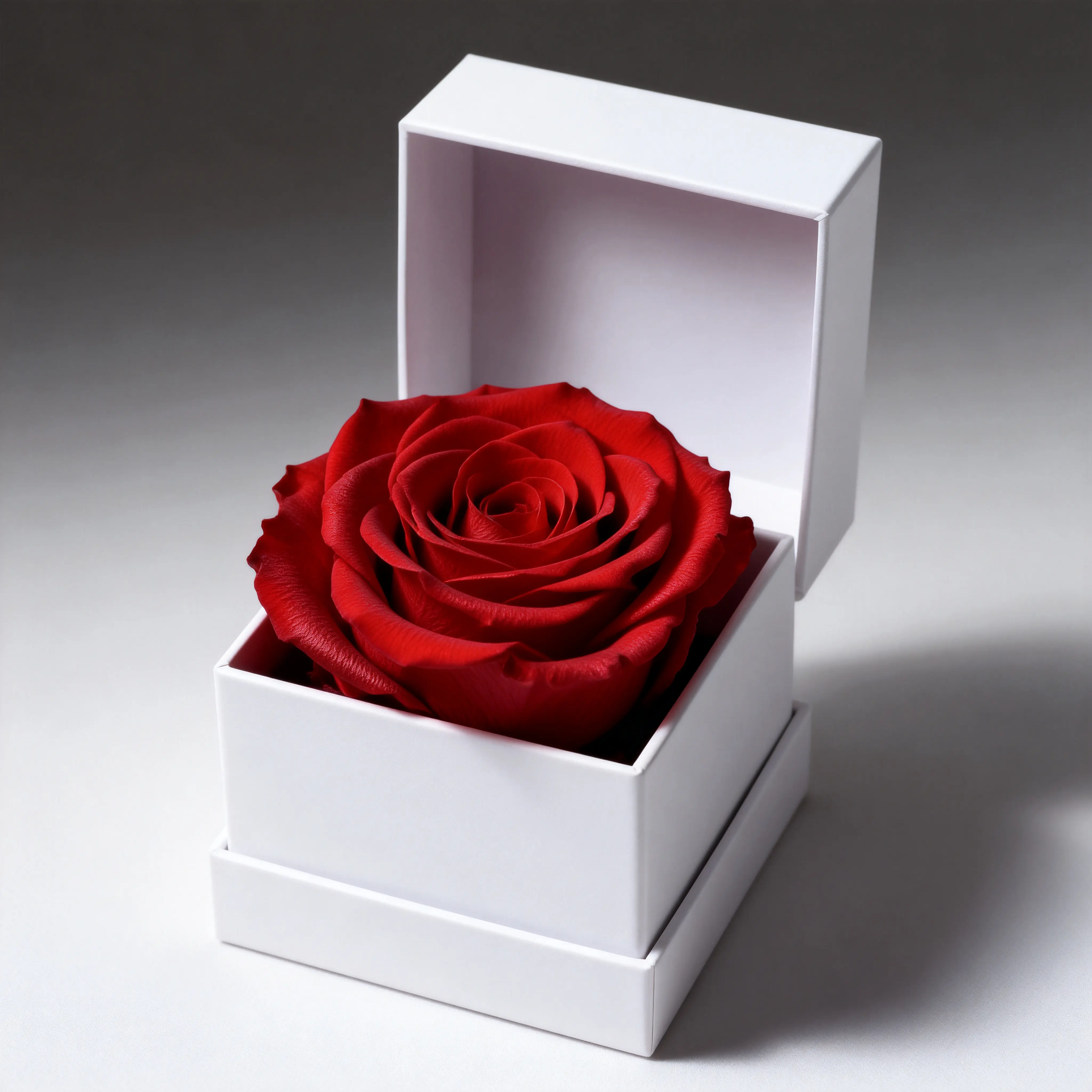The "First Date" Rose - 100% Real Hand-Picked Preserved Rose Lasts 1+ Year Compact 2.4" x 2.4" x 5.3" Minimalist Gift Box SV Lifestyle Modern Low-Maintenance