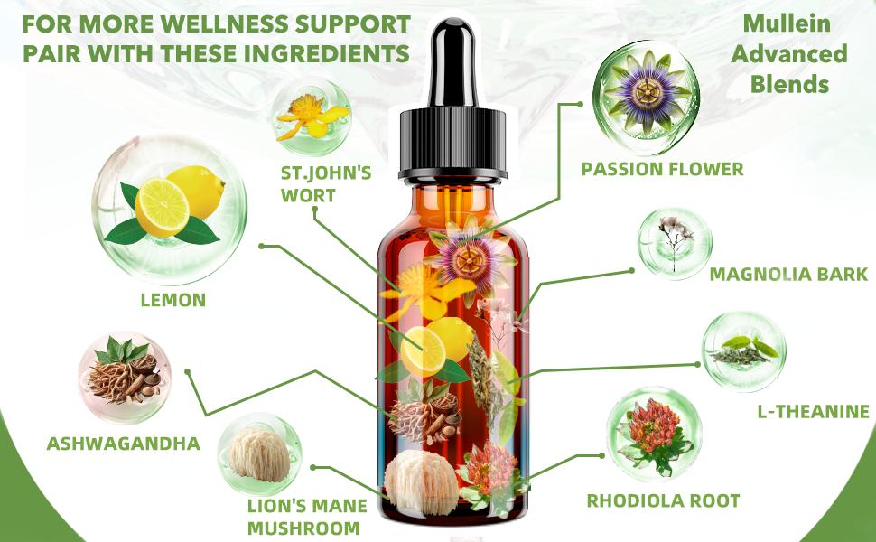 Cortisol Supplement Liquid Drops,17-in-1 Cortisol Detox,Hormone Balanced for Women, Mood Focus, Sleep Support 2 FL/Oz Cortisol Supplement Liquid Drops,17-in-1 Cortisol Detox,Hormone Balanced for Women, Mood Focus, Sleep Support 2 FL/Oz