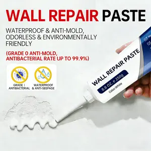Eco-Friendly White Wall Repair Paste Waterproof Anti-Mold Odorless Environmentally Friendly Fix Cracks Holes Peeling Paint Fast