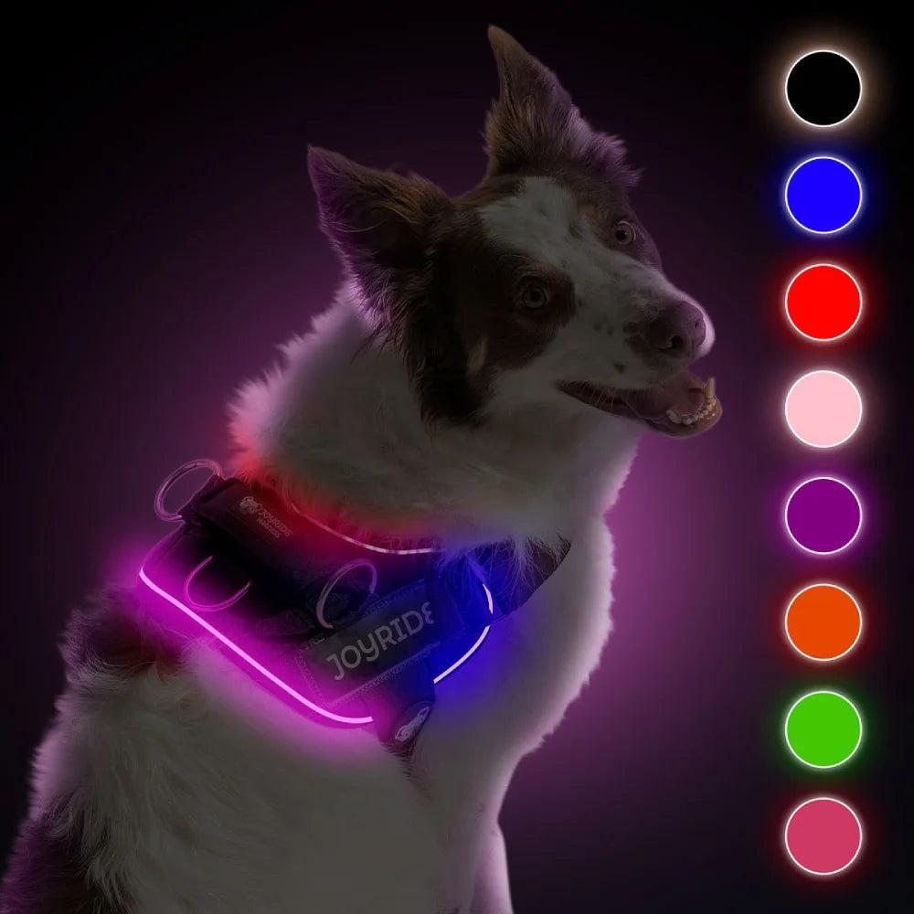 Joyride Harness 2.0 LED Light Up Dog Harness Night Safety With USB Charger Included - Ultra-Bright Rechargeable No-Pull Design with 13 Custom name tags included