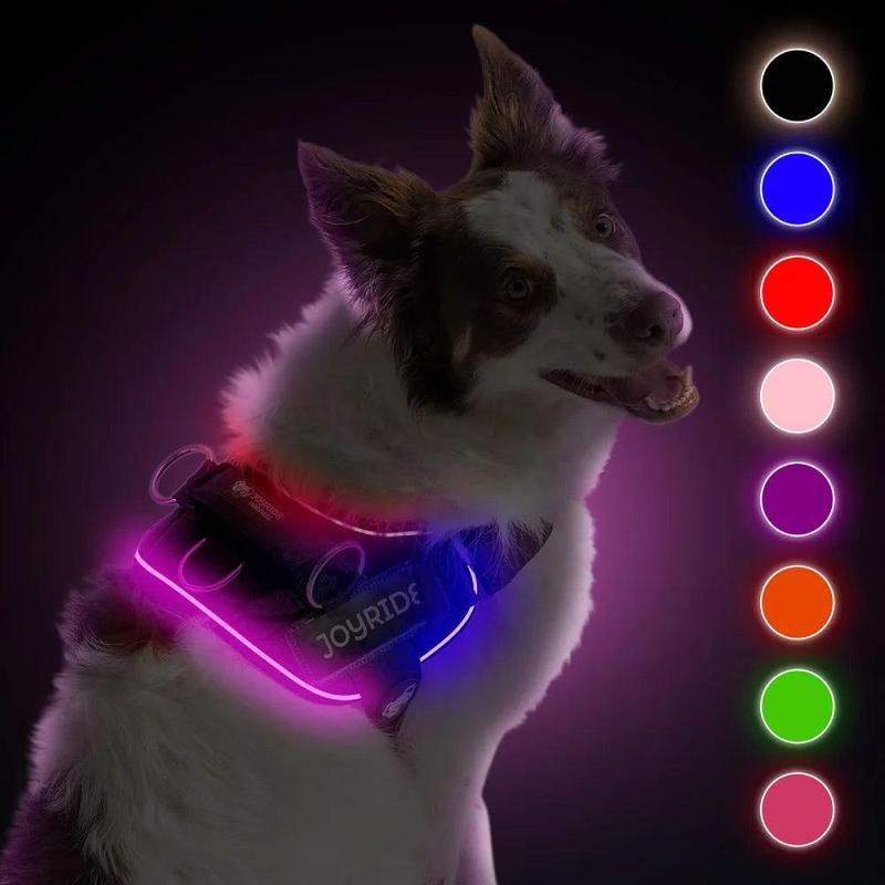 Joyride Harness 2.0 LED Light Up Dog Harness Night Safety With USB Charger Included - Ultra-Bright Rechargeable No-Pull Design with 13 Custom name tags included
