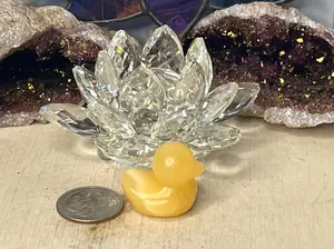 Calcite Duck