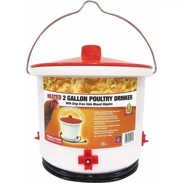Farm Innovators Heated Poultry Drinker — Side-Mount Nipple, Drip-Free, 2 Gallon