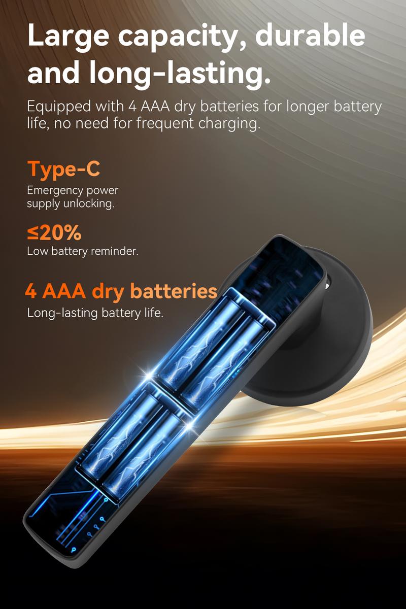 Smart Fingerprint Door Lock with Handle Keyless Entry 4-in-1 Card APP Backup Key Bedroom Home Privacy Apartment Local Data Storage