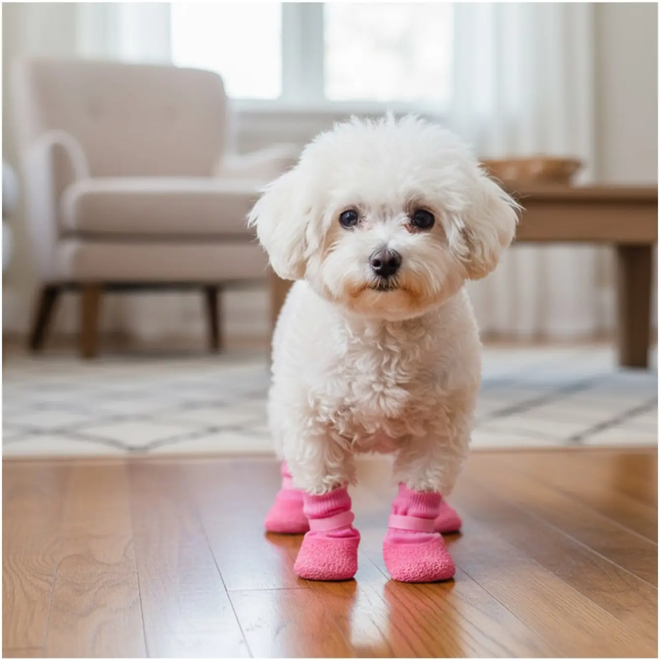 4 Counts Dog Boots Set, Anti-Slip Soft-Sole Durable Outdoor Pet Shoes, Puppy Shoes, Paw Protectors, Waterproof Boots for Shiba Inu, Bichon Frise, Corgi and Other Dogs, Rainy Day Pet Shoes